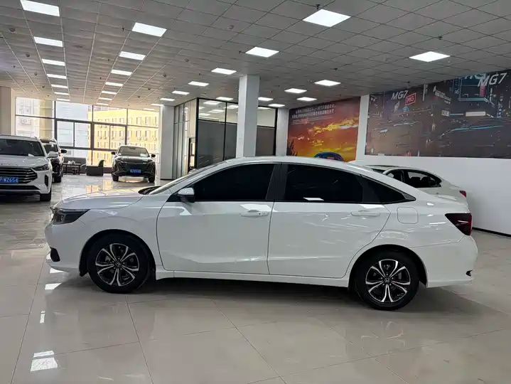 Gasoline & Hybrid For Export 4