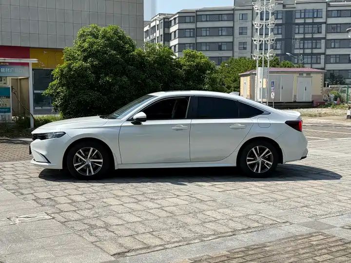 Gas Hybrid Cars Export from China 3