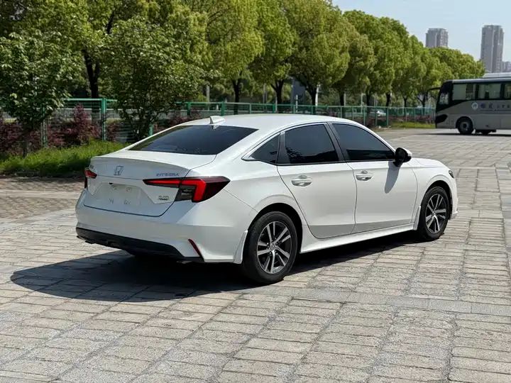 Gas Hybrid Cars Export from China 6