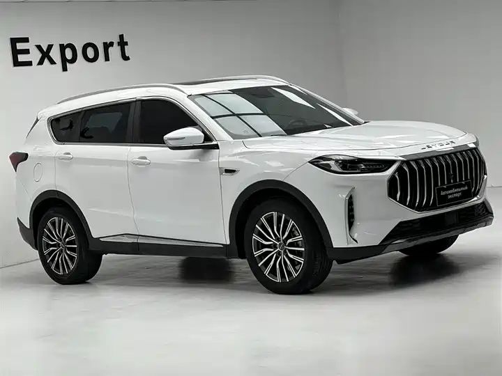 Warrior PLUS 1.5T DCT, 7-Seater | China Used Car Export, Customization Supported 2