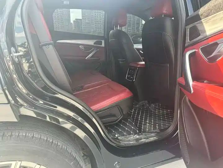 1.6T DCT Warrior PRO 7-Seater | Used Car Export from China 7