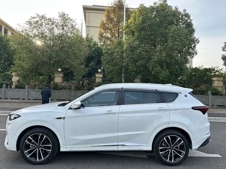 DCT Warrior PLUS, 7-Seater | China Used Car Export 2