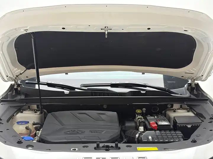 1.6T DCT Warrior, 7-Seater | China Used Car Export 19