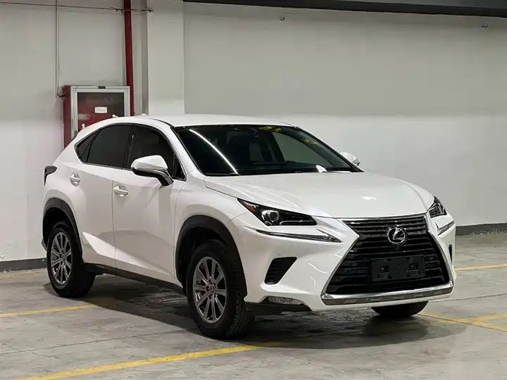 2018 200 FWD Comfort Grade, China Used Car Export 2
