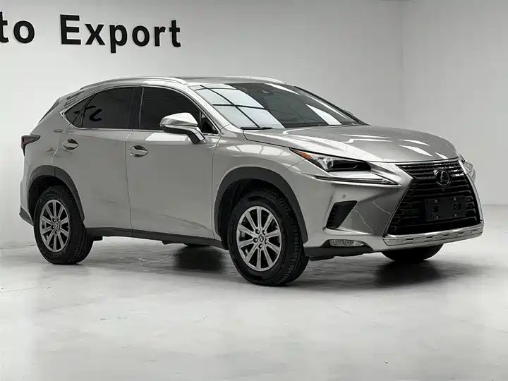 AWD Fashion Edition | China Used Car Export 3