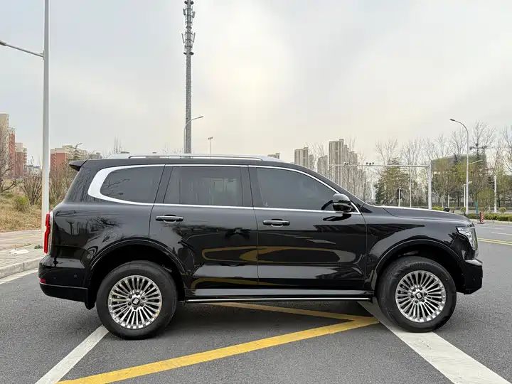 Business Premium 5-Seater | Chinese Used Car for Export 8