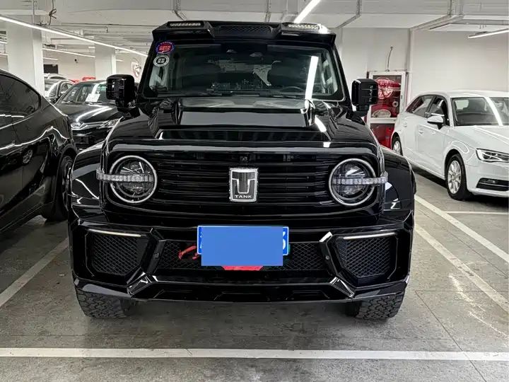2.0T Conqueror Off-road Version | Chinese Used Car for Export 1