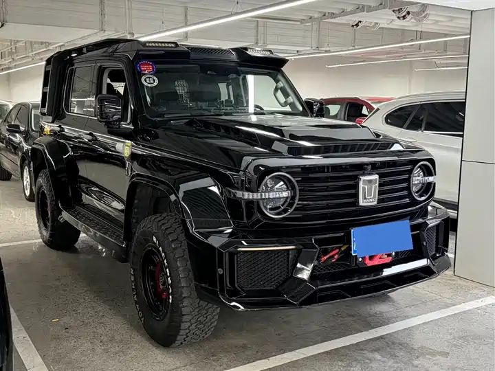 2.0T Conqueror Off-road Version | Chinese Used Car for Export 3