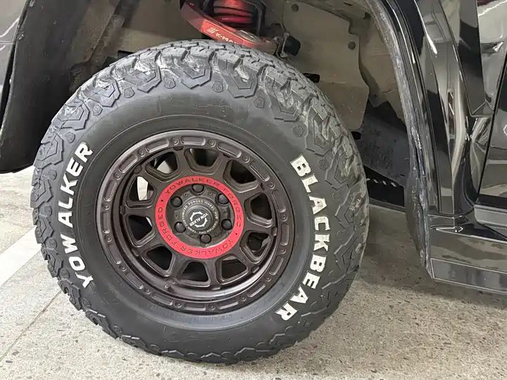 2.0T Conqueror Off-road Version | Chinese Used Car for Export 5