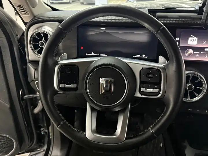 2.0T Conqueror Off-road Version | Chinese Used Car for Export 6