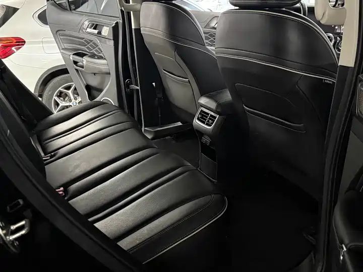 2.0T Conqueror Off-road Version | Chinese Used Car for Export 10