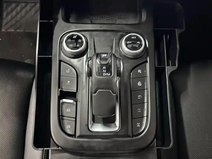 2.0T Conqueror Off-road Version | Chinese Used Car for Export 12