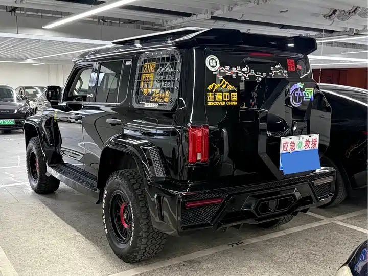2.0T Conqueror Off-road Version | Chinese Used Car for Export 14