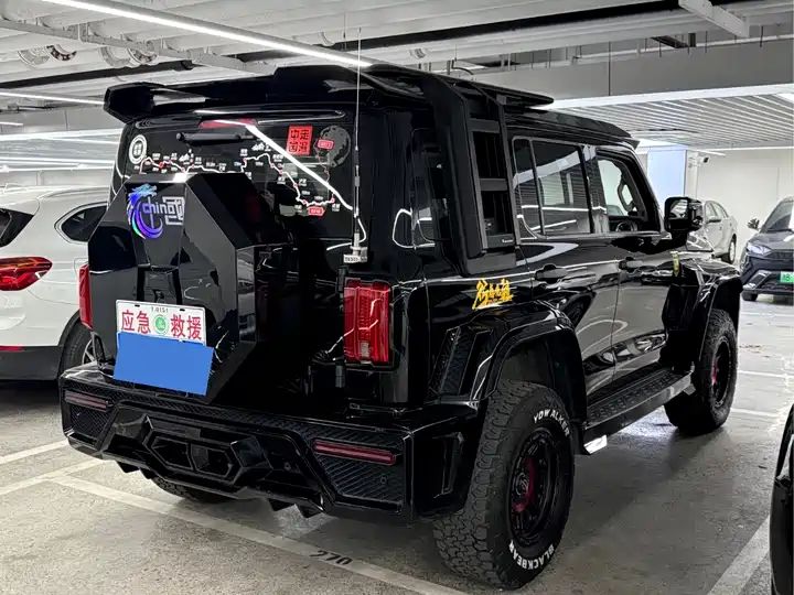 2.0T Conqueror Off-road Version | Chinese Used Car for Export 15