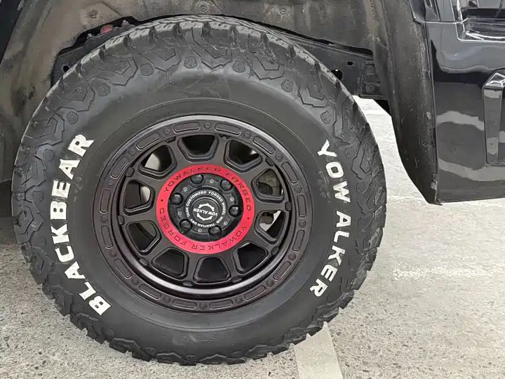 2.0T Conqueror Off-road Version | Chinese Used Car for Export 17