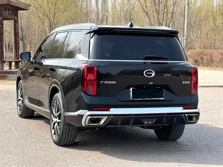 ES9 PHEV 143km Pro+ Plug-in Hybrid MPV, Premium Used Chinese Business MPV Wholesale from China for Export 4