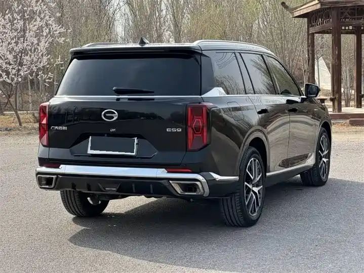 ES9 PHEV 143km Pro+ Plug-in Hybrid MPV, Premium Used Chinese Business MPV Wholesale from China for Export 11