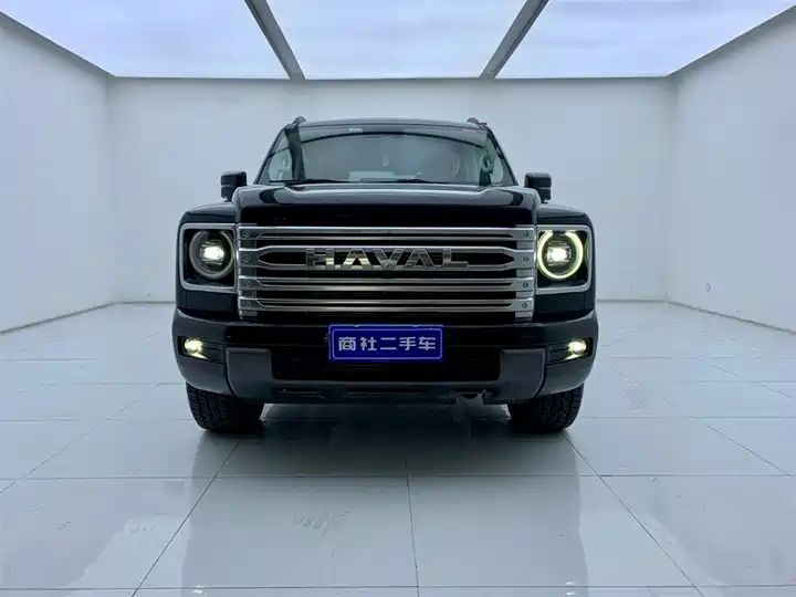 2.4T Diesel 4WD Extreme Edition, Second Hand Chinese Off-road SUV Wholesale for Export 2