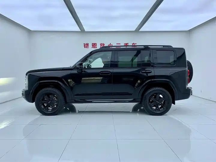 2.4T Diesel 4WD Extreme Edition, Second Hand Chinese Off-road SUV Wholesale for Export 3