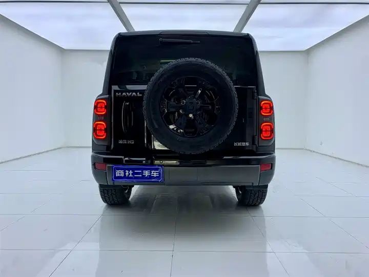 2.4T Diesel 4WD Extreme Edition, Second Hand Chinese Off-road SUV Wholesale for Export 4