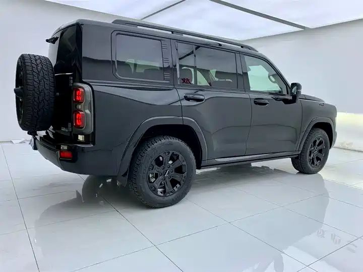 2.4T Diesel 4WD Extreme Edition, Second Hand Chinese Off-road SUV Wholesale for Export 5