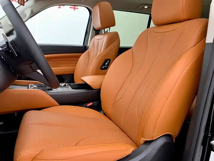 2.4T Diesel 4WD Extreme Edition, Second Hand Chinese Off-road SUV Wholesale for Export 10
