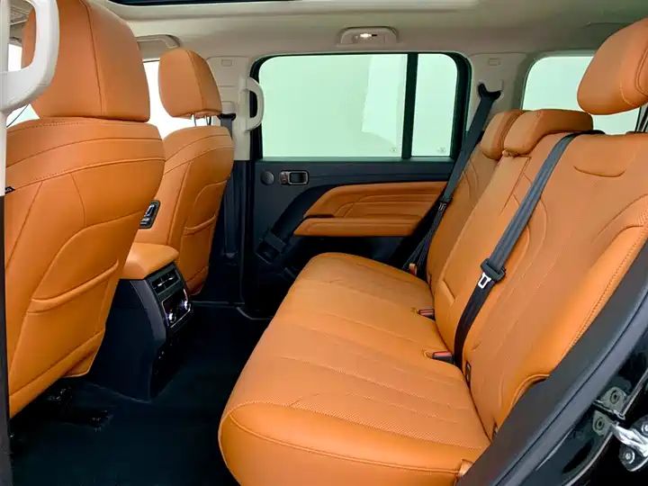2.4T Diesel 4WD Extreme Edition, Second Hand Chinese Off-road SUV Wholesale for Export 11