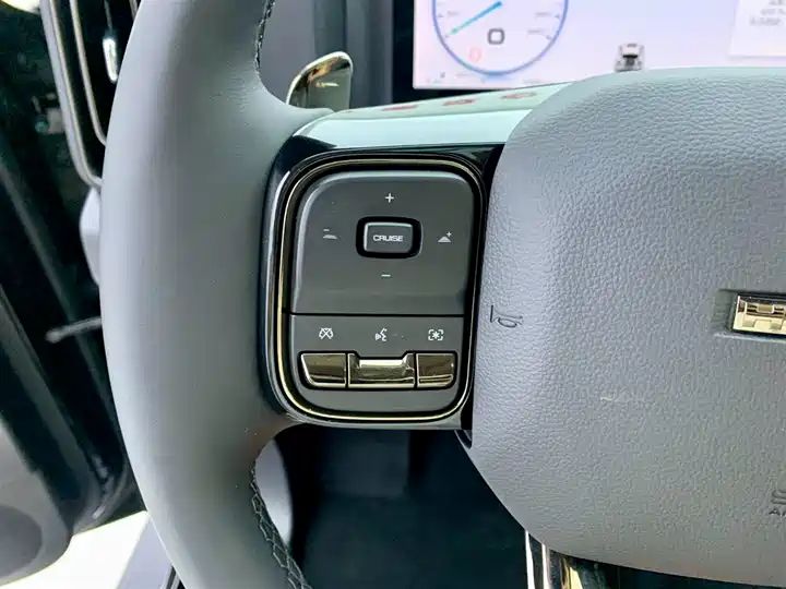 2.4T Diesel 4WD Extreme Edition, Second Hand Chinese Off-road SUV Wholesale for Export 16