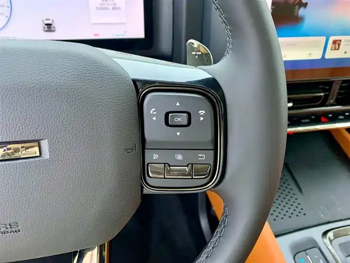 2.4T Diesel 4WD Extreme Edition, Second Hand Chinese Off-road SUV Wholesale for Export 17
