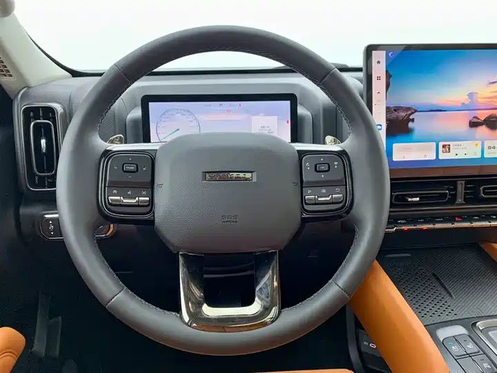 2.4T Diesel 4WD Extreme Edition, Second Hand Chinese Off-road SUV Wholesale for Export 18