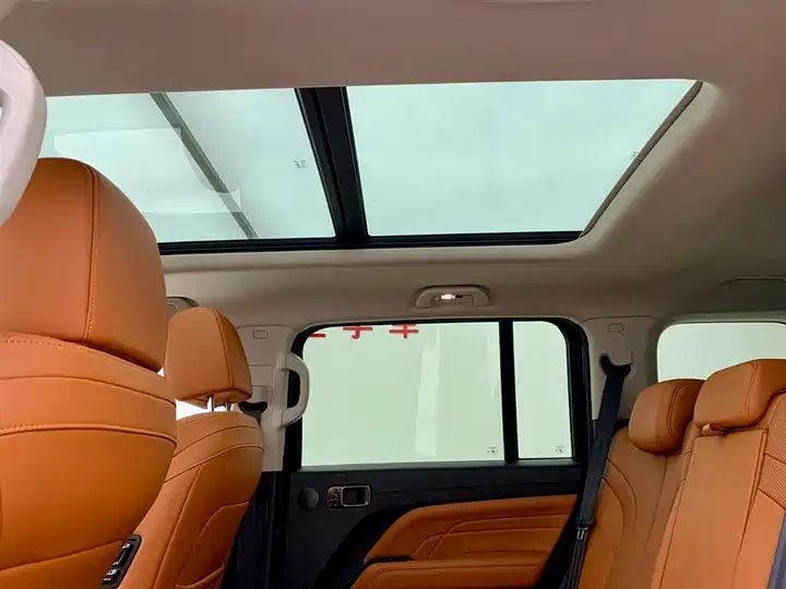 2.4T Diesel 4WD Extreme Edition, Second Hand Chinese Off-road SUV Wholesale for Export 23