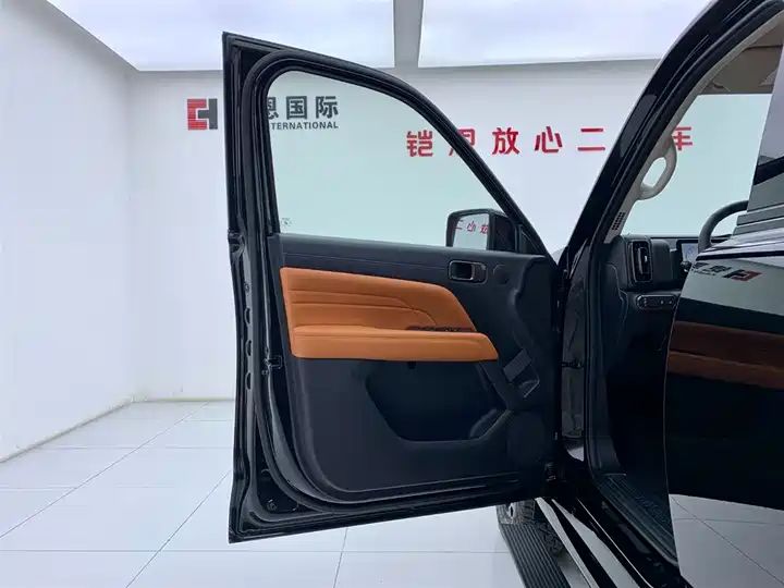 2.4T Diesel 4WD Extreme Edition, Second Hand Chinese Off-road SUV Wholesale for Export 28