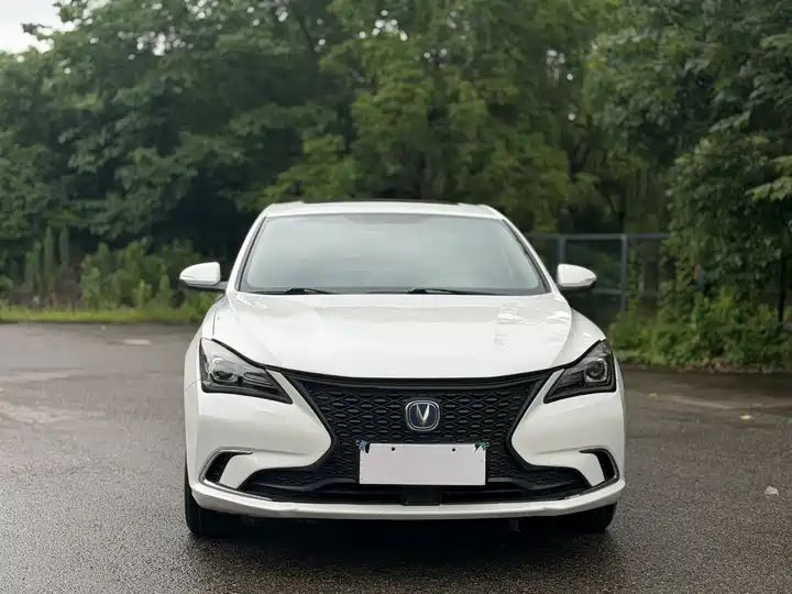 Whale 280T GDI DCT Sport Edition | Used Sedan Export from China 1