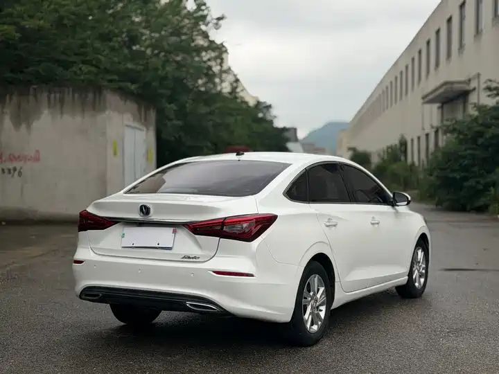 Whale 280T GDI DCT Sport Edition | Used Sedan Export from China 2
