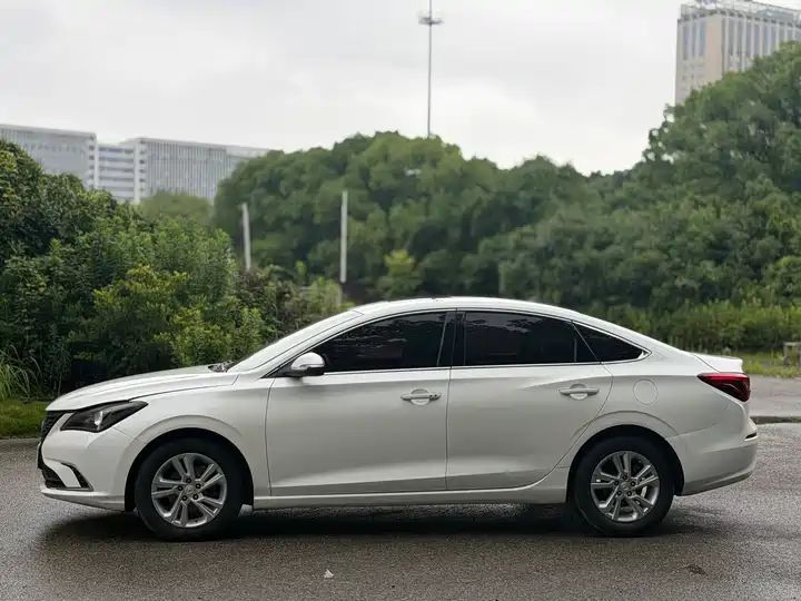 Whale 280T GDI DCT Sport Edition | Used Sedan Export from China 5