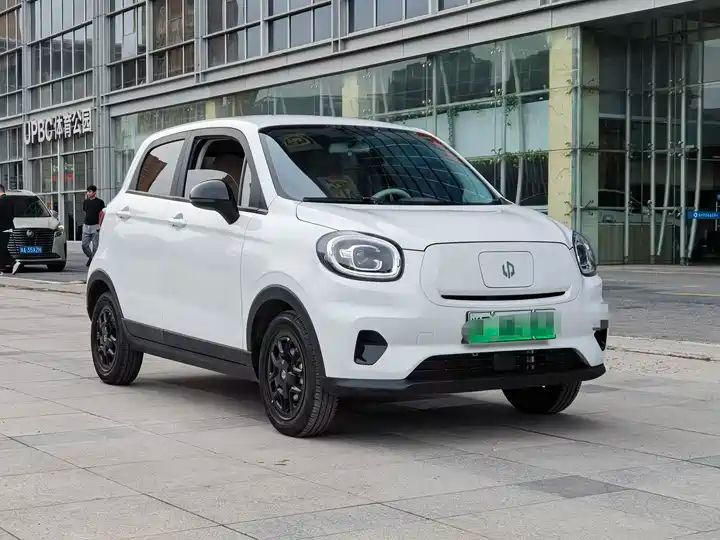 310 Comfort Edition | Used EV Export from China 2