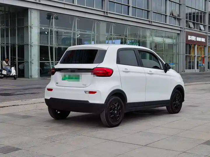 310 Comfort Edition | Used EV Export from China 3