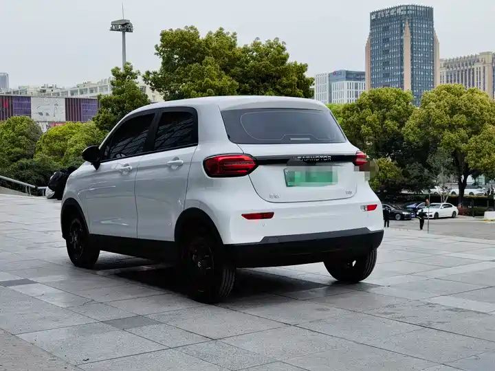 310 Comfort Edition | Used EV Export from China 5