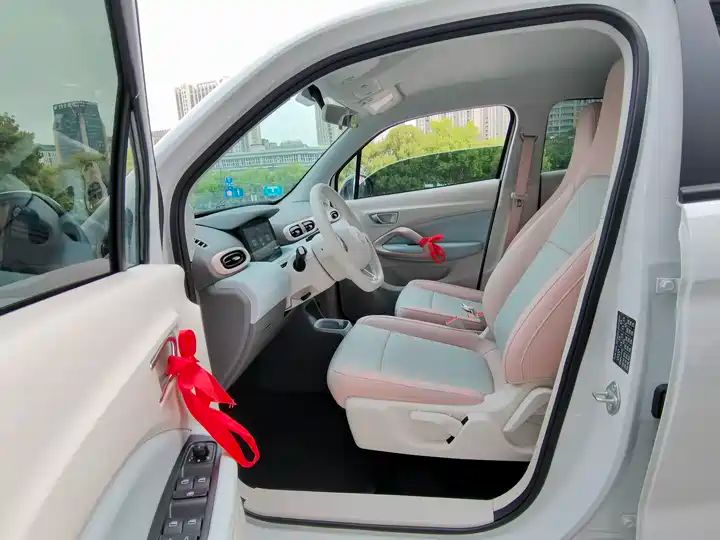 310 Comfort Edition | Used EV Export from China 8