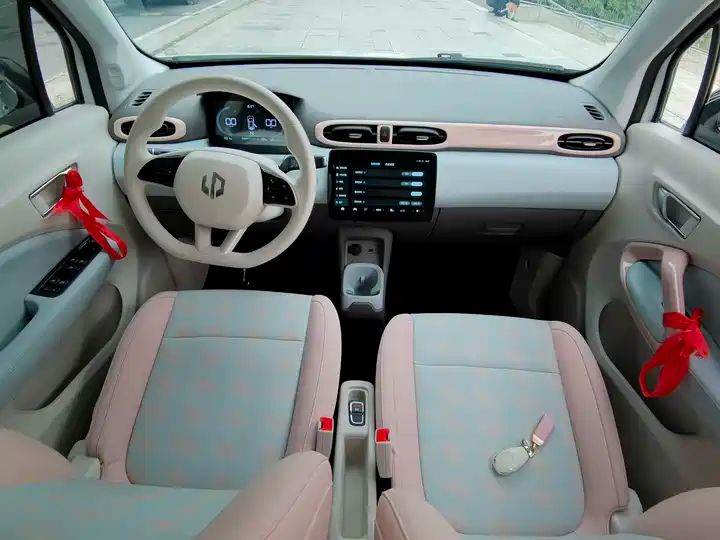 310 Comfort Edition | Used EV Export from China 9