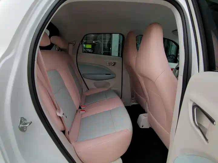 310 Comfort Edition | Used EV Export from China 10