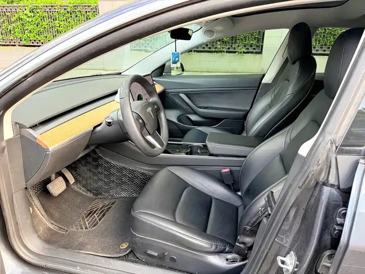 Standard Range Plus Rear-Wheel Drive, Used Car from China 4