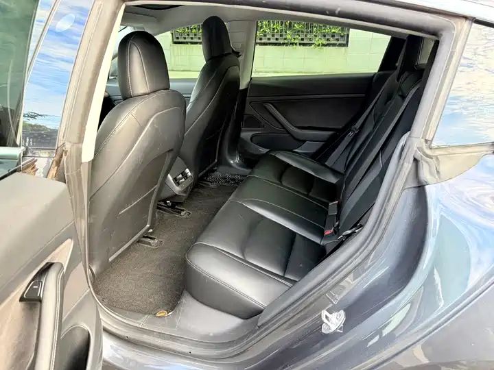 Standard Range Plus Rear-Wheel Drive, Used Car from China 5