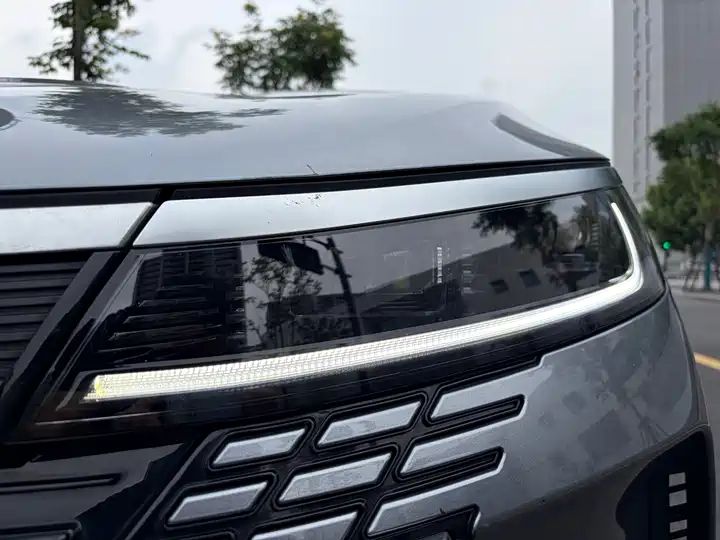 2023 Champion Edition DM-i 55KM Luxury Used Car for Export 2