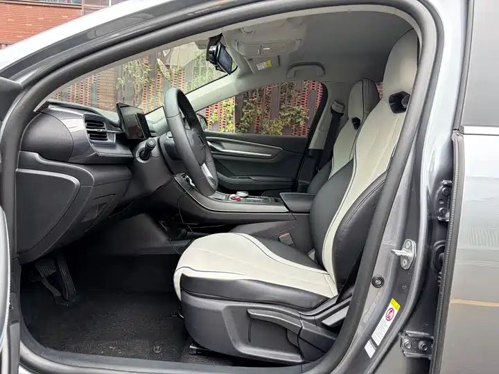 2023 Champion Edition DM-i 55KM Luxury Used Car for Export 4