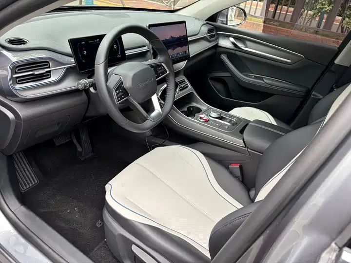 2023 Champion Edition DM-i 55KM Luxury Used Car for Export 5