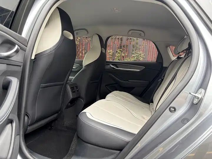 2023 Champion Edition DM-i 55KM Luxury Used Car for Export 6