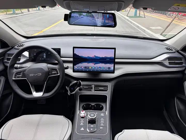 2023 Champion Edition DM-i 55KM Luxury Used Car for Export 7