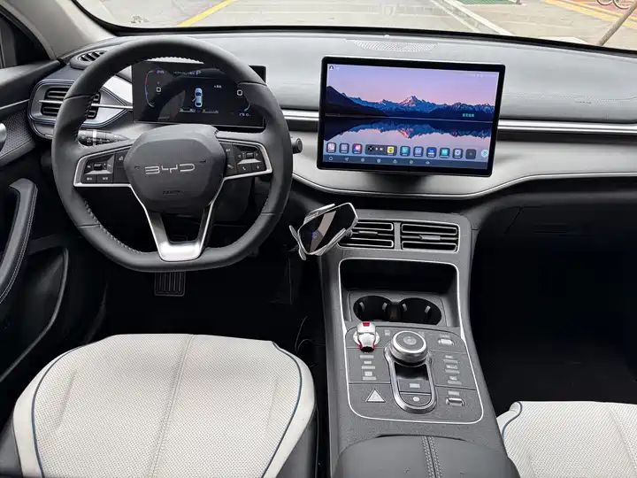2023 Champion Edition DM-i 55KM Luxury Used Car for Export 8