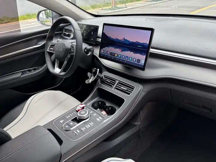 2023 Champion Edition DM-i 55KM Luxury Used Car for Export 10